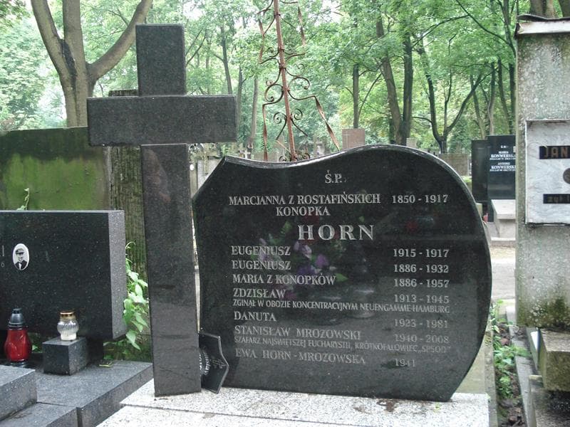 Zdjęcie grobu Danuta Horn (1)