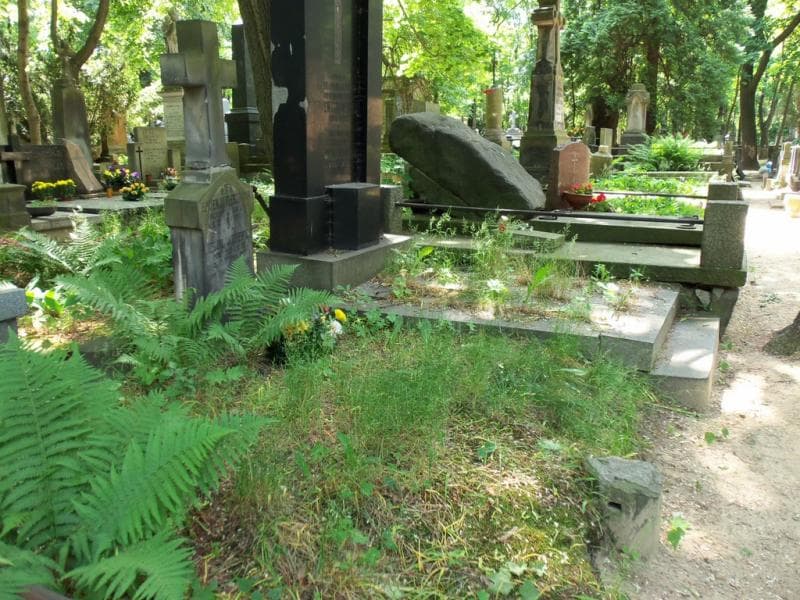 Zdjęcie grobu Eugenja Pleszówna (1)