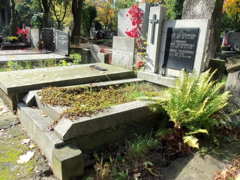 Zdjęcie grobu Kazimierz Szczepański (1)