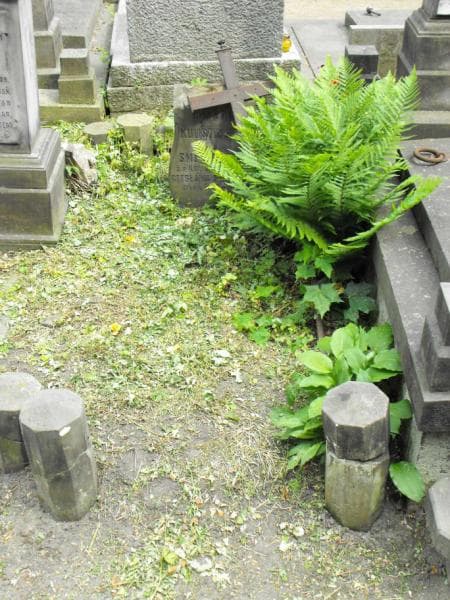 Zdjęcie grobu: Kuliszewscy