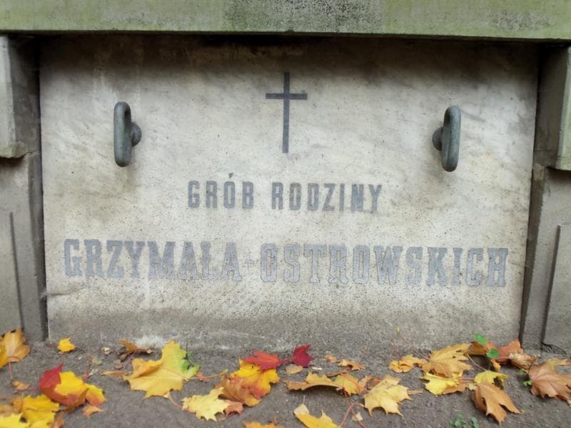 Zdjęcie grobu Tomulek Ostrowski (2)