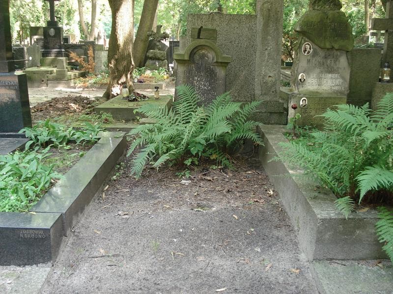 Zdjęcie grobu: Mieczysław Kryński