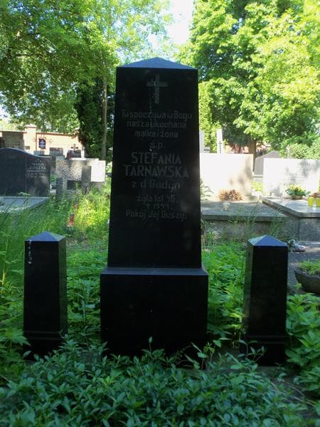 Zdjęcie grobu Stefania Tarnawska (2)