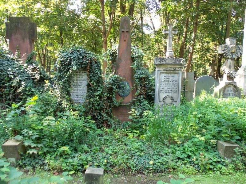 Zdjęcie grobu: Marcelli Machczyński
