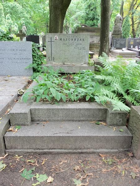 Zdjęcie grobu: Henryk Majchrzak