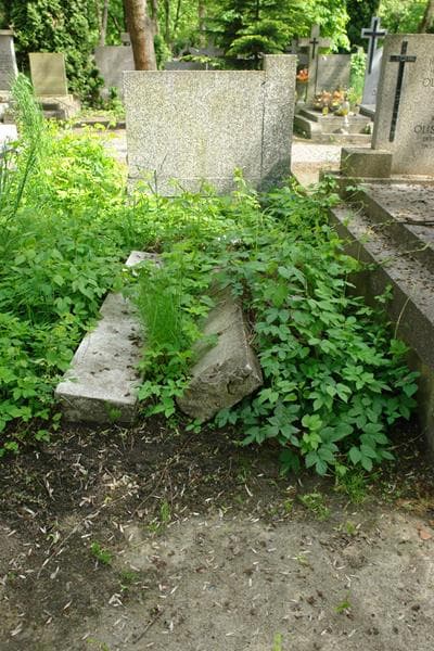 Zdjęcie grobu: Pole Grobowe