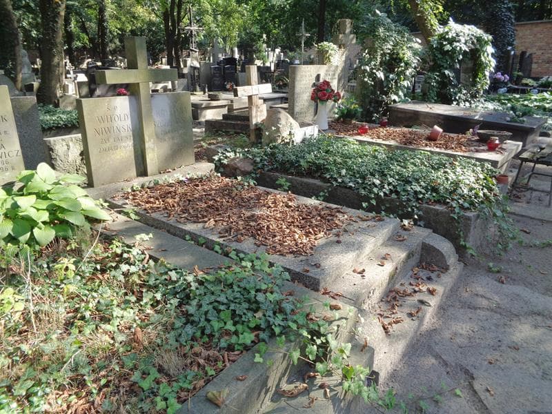 Zdjęcie grobu: Witold Niwiński