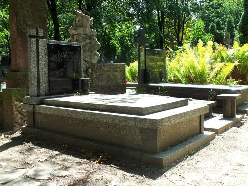 Zdjęcie grobu Elżunia Leoniewska (1)
