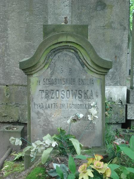 Zdjęcie grobu Emilja Trzosowska (2)