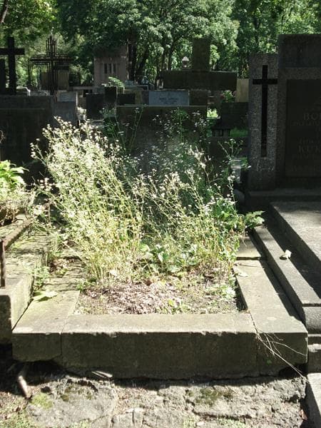 Zdjęcie grobu: Marja Jadwiga Leśniewska