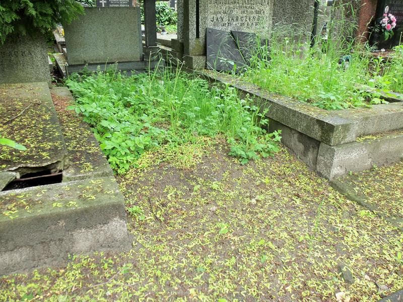 Zdjęcie grobu Pole Grobowe (1)