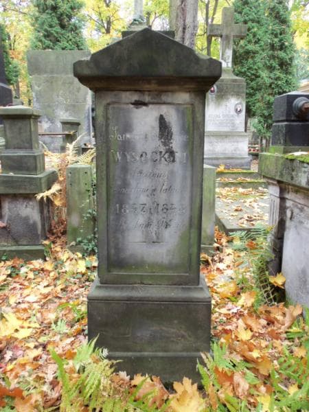 Zdjęcie grobu Jan Wysocki (1)