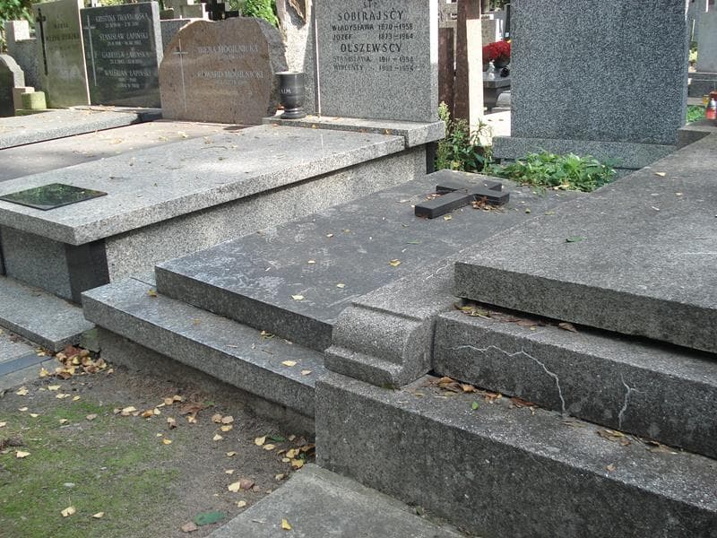 Zdjęcie grobu Zofia Szczerba (2)