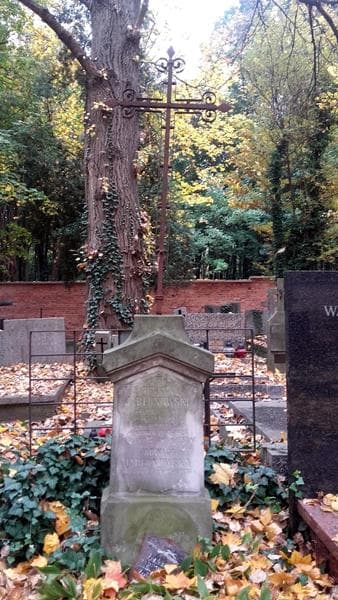 Zdjęcie grobu Henryk Jabłonowski (2)