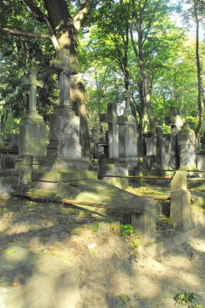Zdjęcie grobu Maria Fligiel (1)