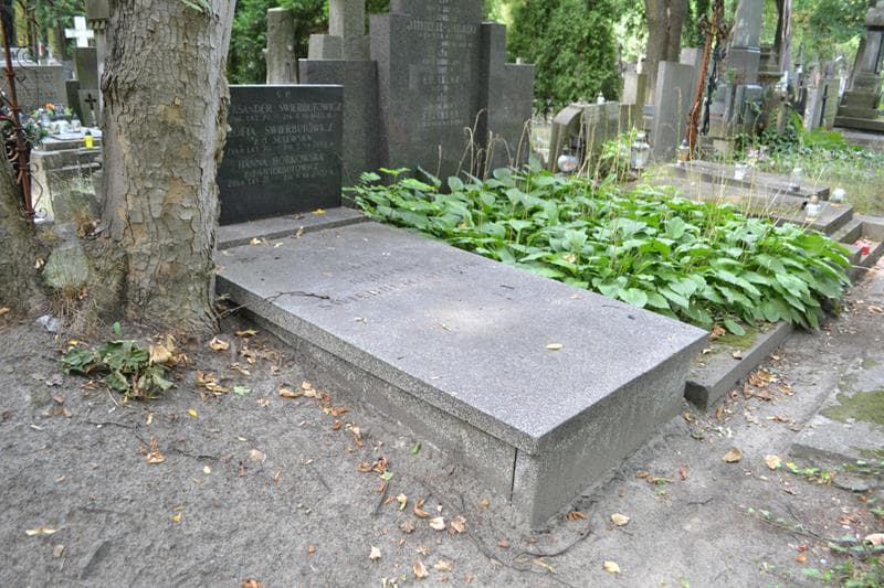 Zdjęcie grobu: Hanna Borkowska