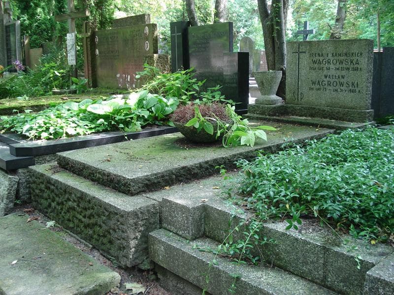 Zdjęcie grobu Irena Wągrowska (1)