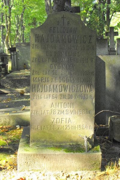 Zdjęcie grobu Felicjan Hajdamowicz (2)
