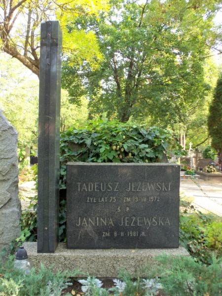 Zdjęcie grobu Tadeusz Jeżewski (2)