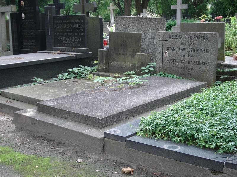 Zdjęcie grobu Stanisław Dziekoński (1)