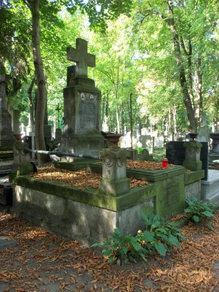 Zdjęcie grobu Franciszek Pawłowski (1)