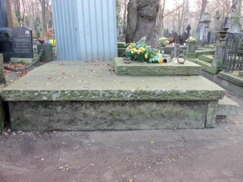 Zdjęcie grobu Siedleccy (1)