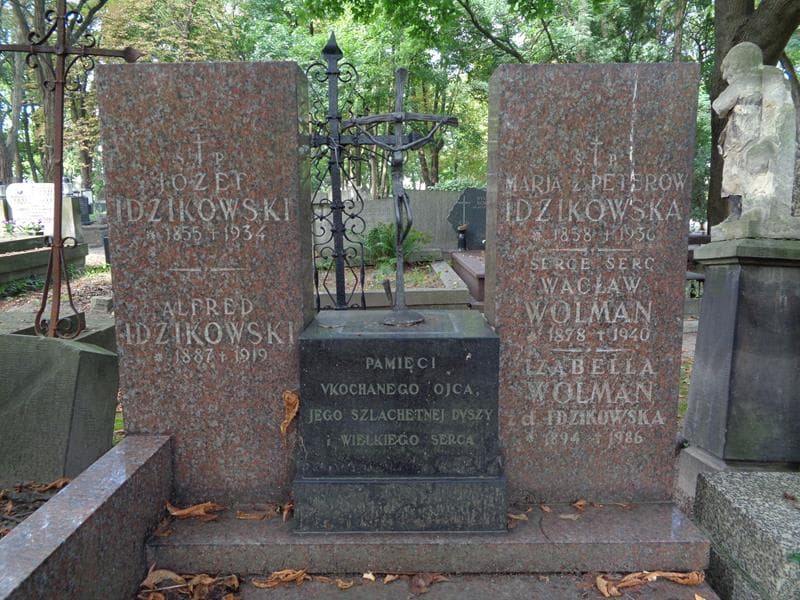 Zdjęcie grobu Alfred Idzikowski (2)