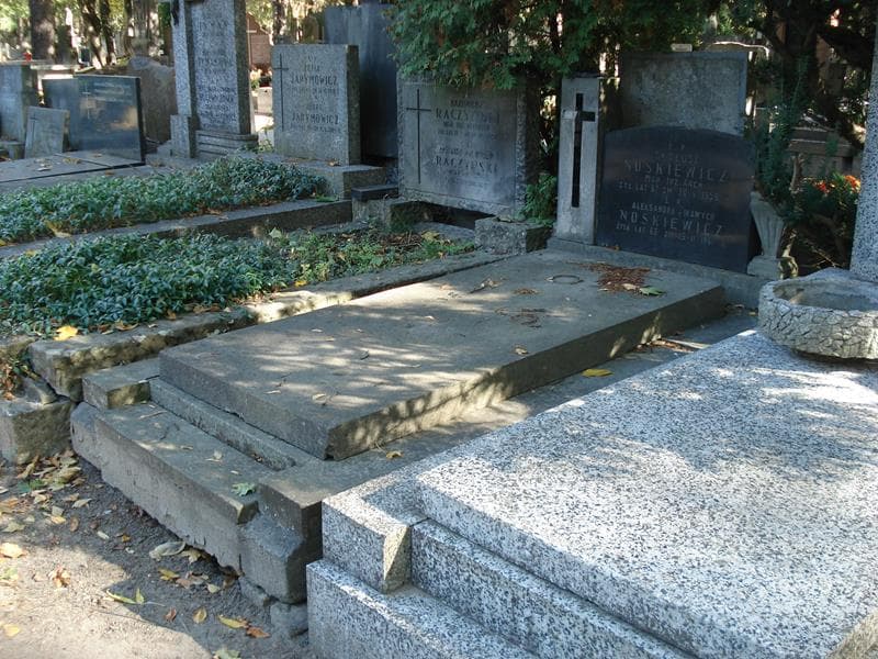 Zdjęcie grobu: Tadeusz Noskiewicz