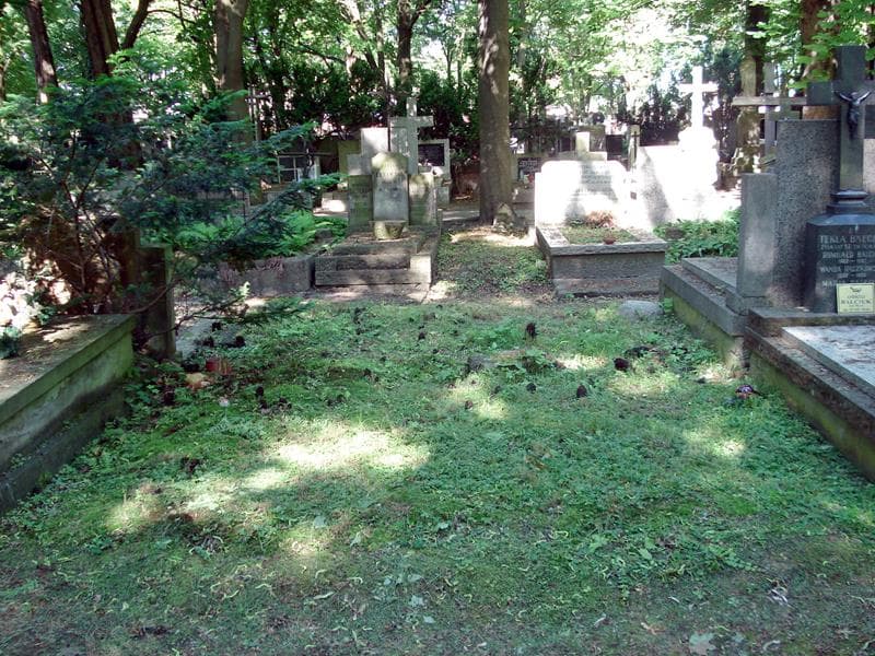 Zdjęcie grobu: Pole Grobowe