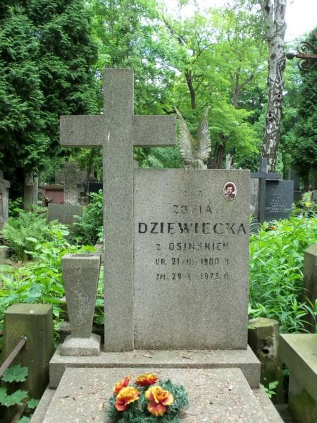 Zdjęcie grobu Zofia Dziewiecka (2)