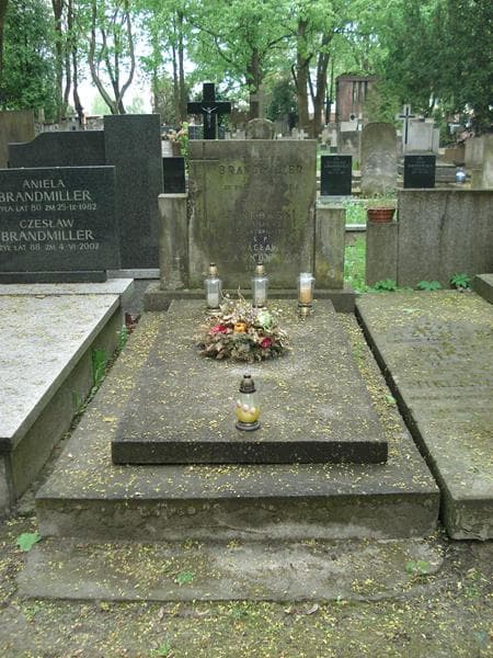Zdjęcie grobu: Apoloniusz Jankowski