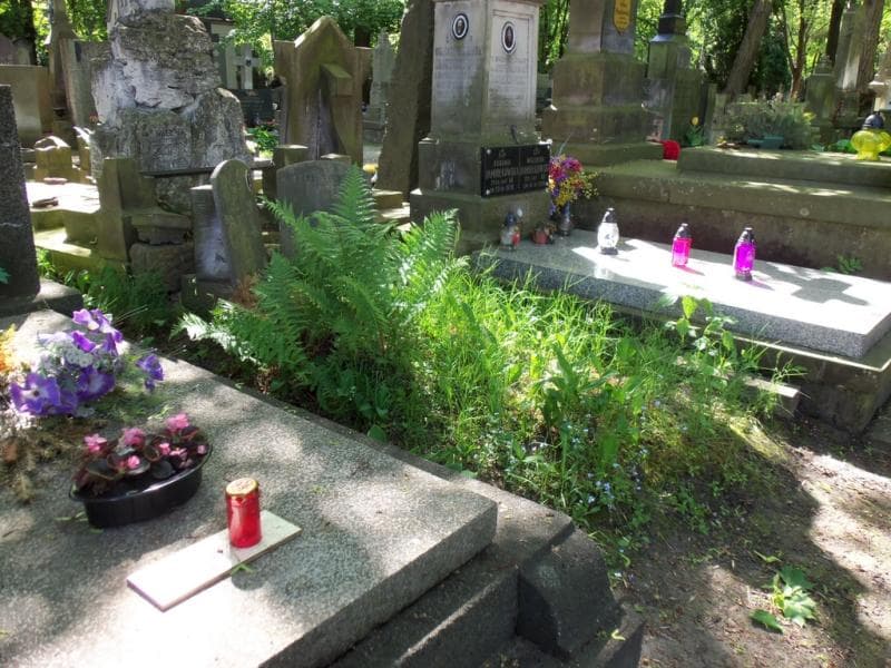 Zdjęcie grobu Danuta Jankowska (1)
