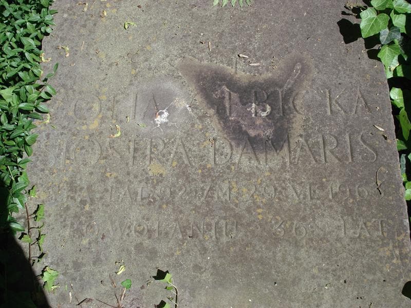 Zdjęcie grobu Zofia Gębicka (1)