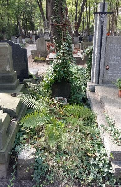 Zdjęcie grobu Józef Wolski (1)