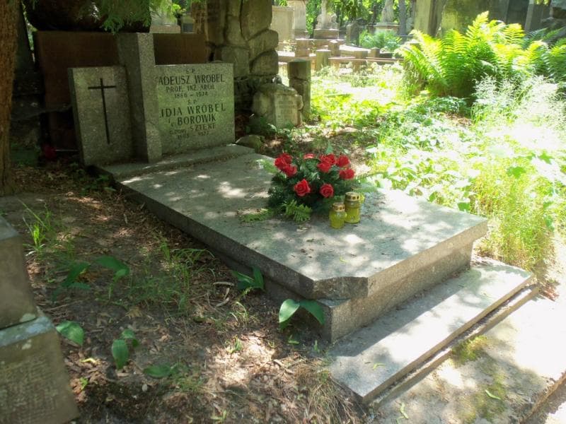 Zdjęcie grobu Lidia Wróbel (1)