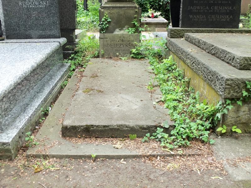 Zdjęcie grobu: Zofia Deleżyńska