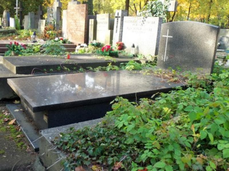 Zdjęcie grobu Helena Besser (1)