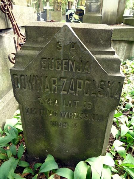 Zdjęcie grobu Eugenia Downar-Zapolska (1)