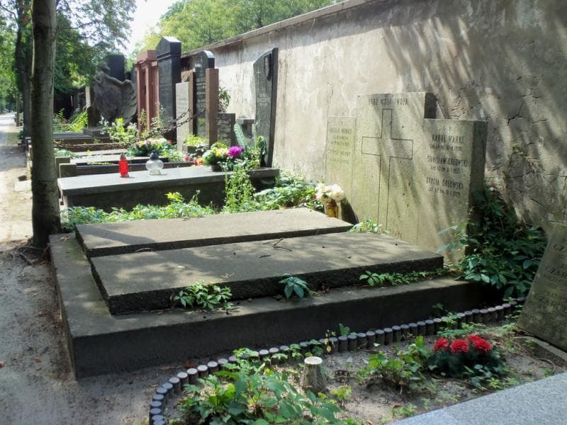 Zdjęcie grobu Karol Wanke (1)