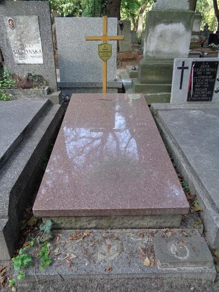 Zdjęcie grobu Stefan De Lendorff (1)