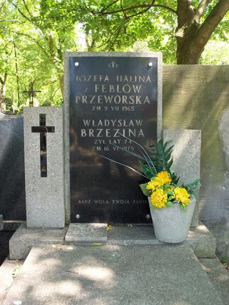 Zdjęcie grobu Władysław Brzezina (2)
