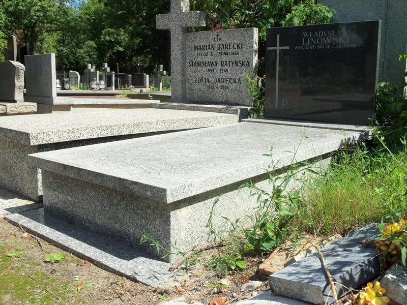 Zdjęcie grobu Władysław Linowski (1)