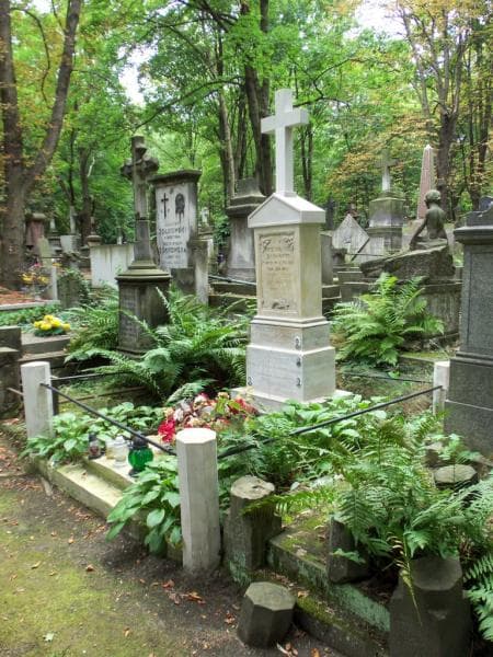 Zdjęcie grobu Władysław Górski (1)