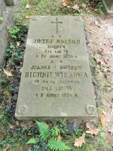 Zdjęcie grobu Joanna Bichniewiczowa (2)