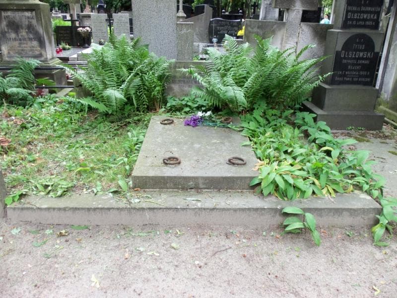 Zdjęcie grobu: Stanisława Trejdosiewiczowa