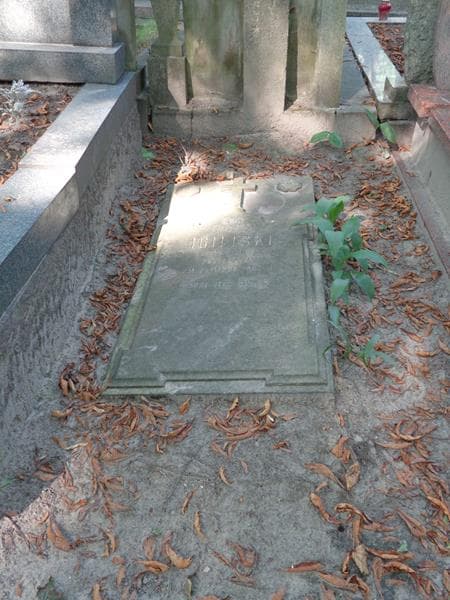 Zdjęcie grobu Lucjan Igielski (1)