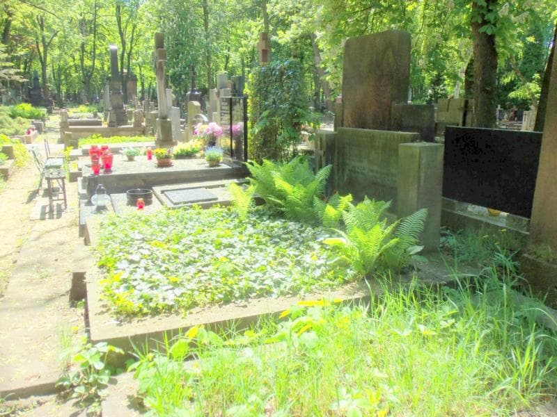 Zdjęcie grobu Hieronim Dewiński (1)