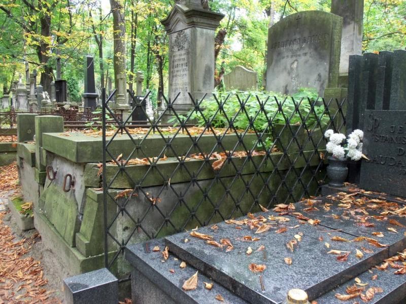 Zdjęcie grobu Apolinary Bocian (1)