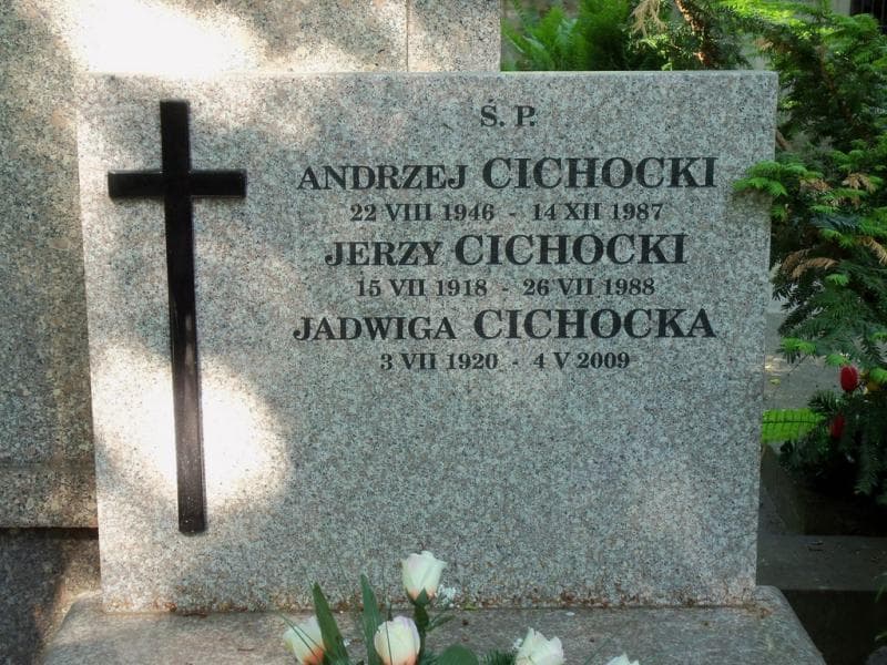 Zdjęcie grobu Jadwiga Cichocka (2)