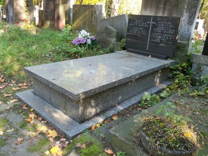 Zdjęcie grobu Leonard Sawicki (1)
